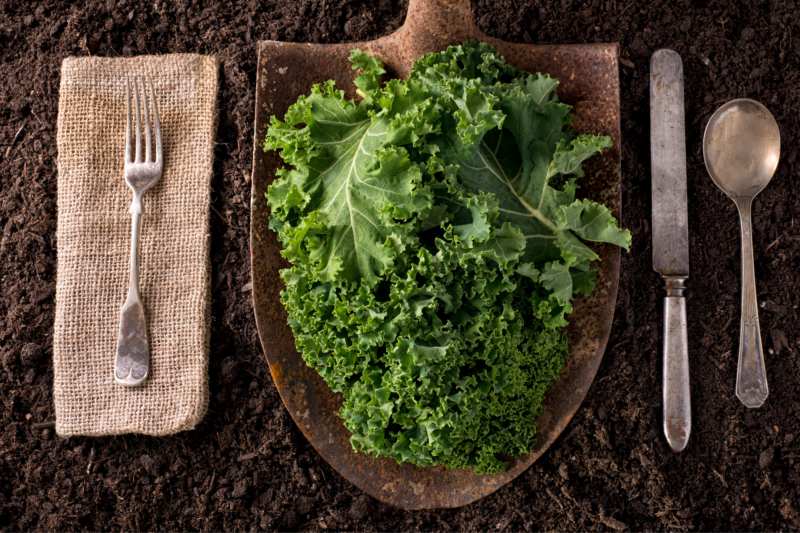 Frozen Kale 1kg