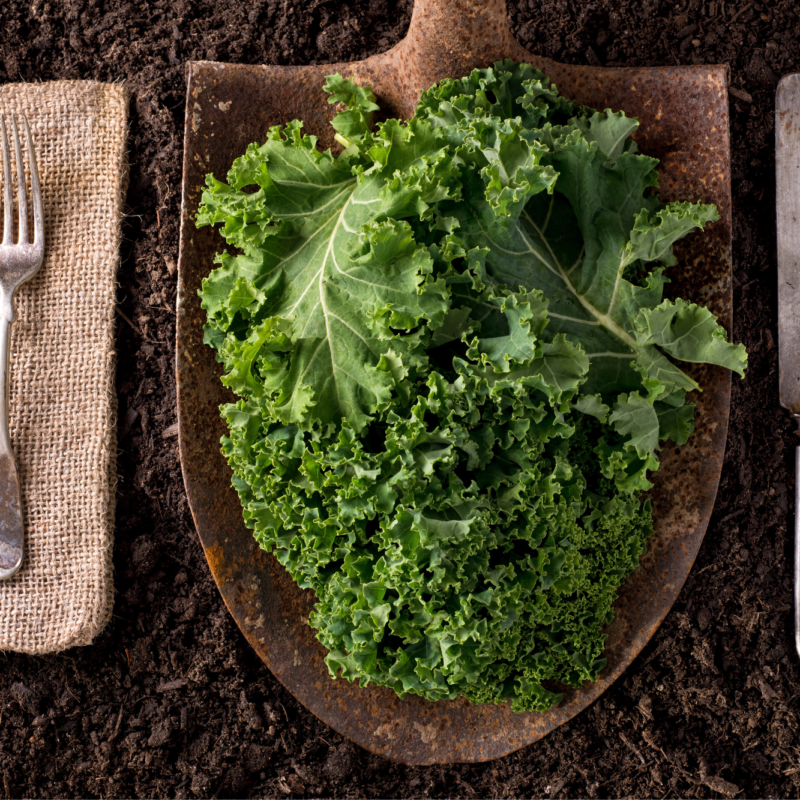 Frozen Kale 1kg